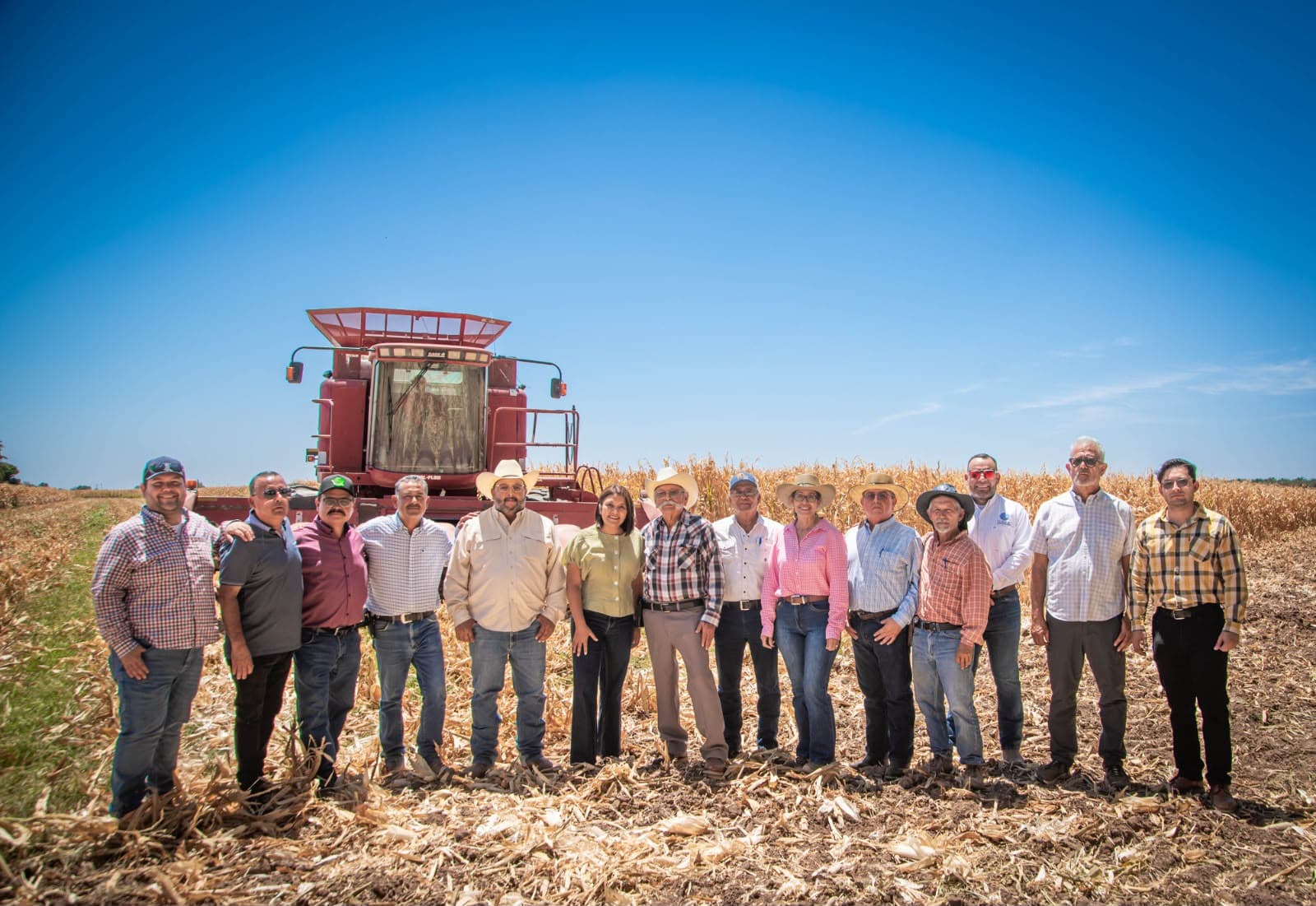 Inicia cosecha de maíz blanco en el Valle de Mexicali