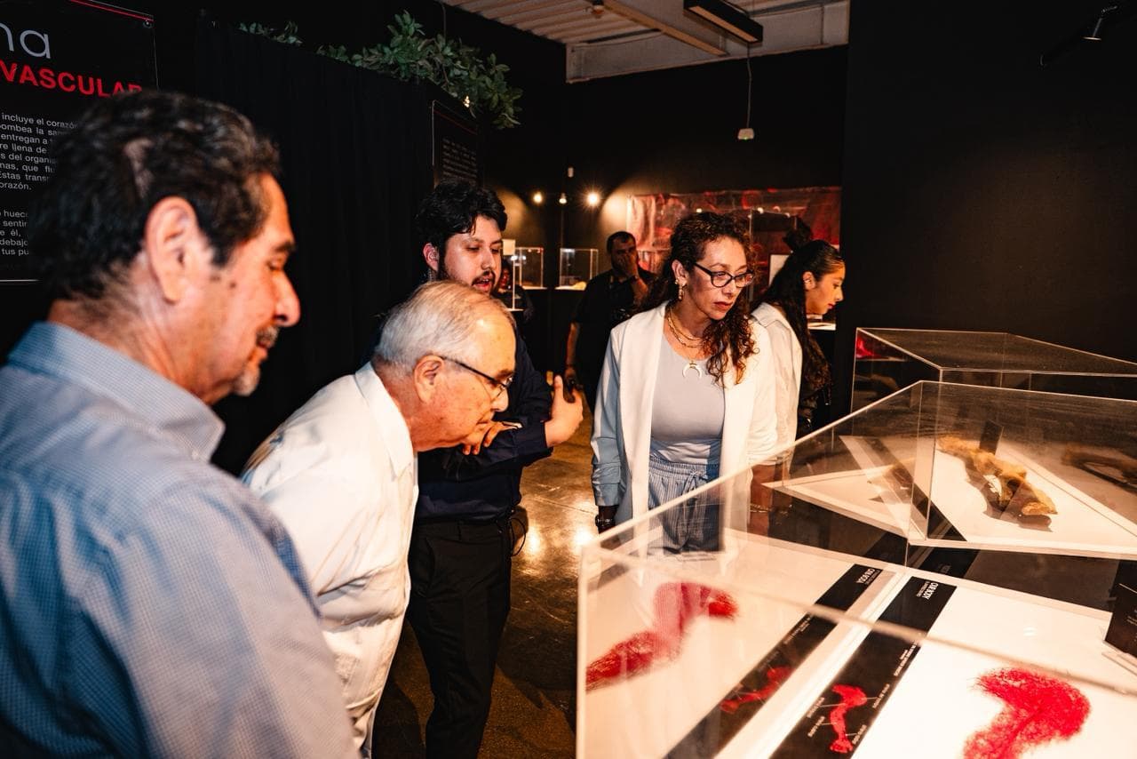 Invita gobierno de Claudia Agatón a exhibición sobre cuerpo humano en Caracol Museo de Ciencias