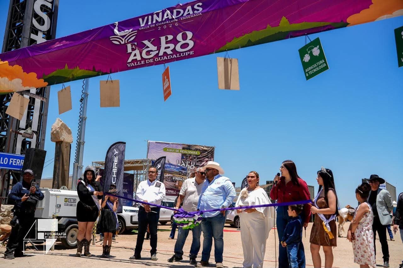 Eventos de 'Viñadas 2026' reúnen a miles de visitantes en el Valle de Guadalupe