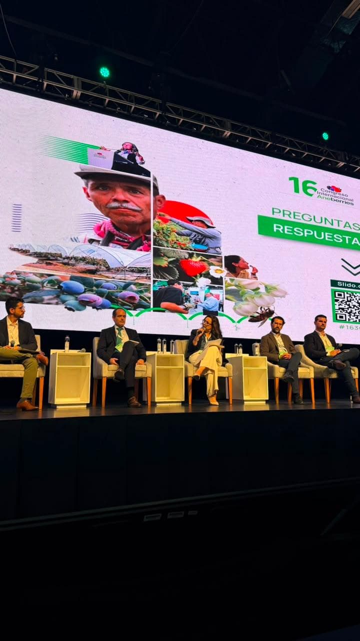 Baja California lleva su liderazgo agrícola al foro que analiza las perspectivas futuras de las berries