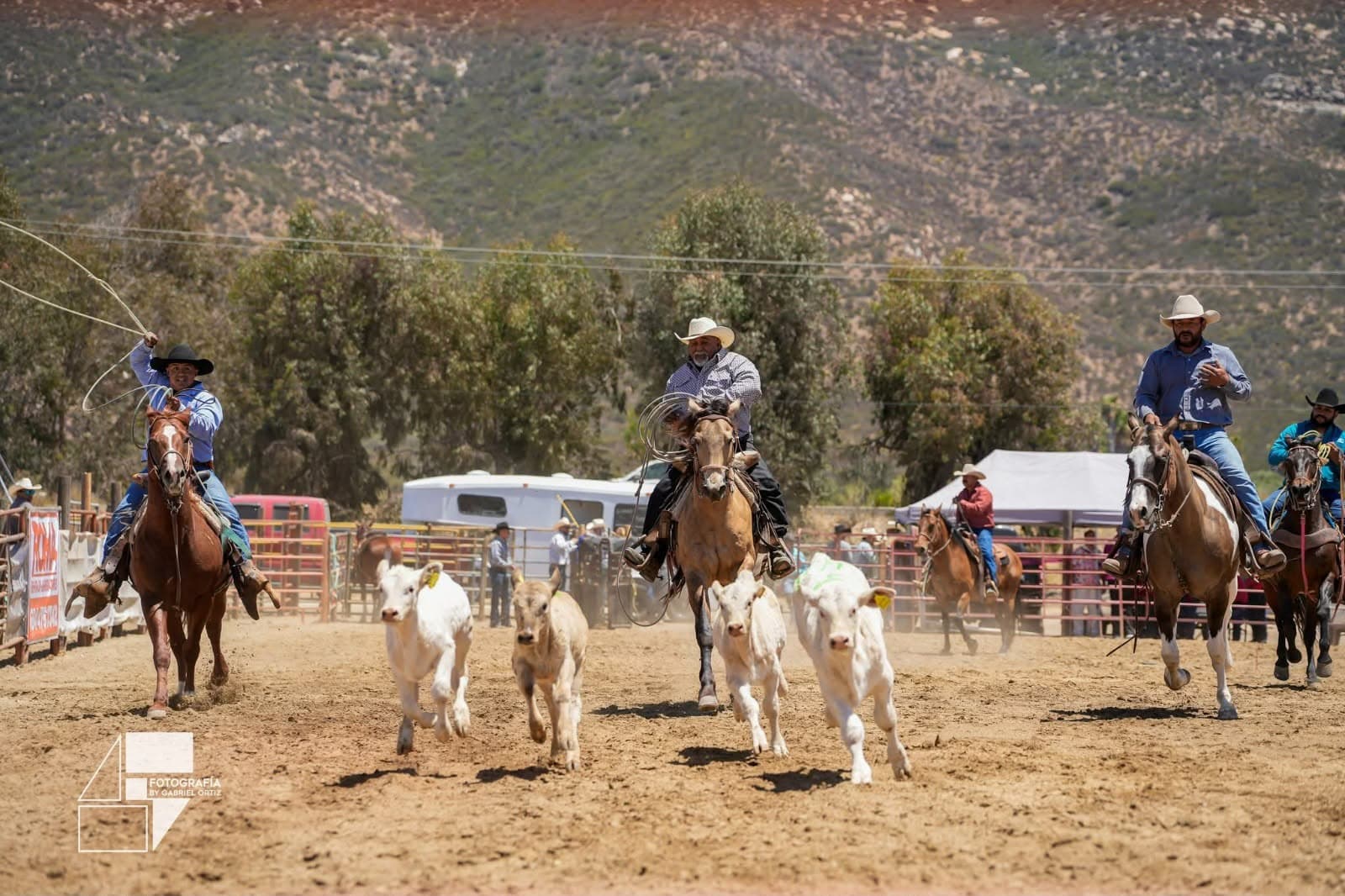 Eventos de 'Viñadas 2026' reúnen a miles de visitantes en el Valle de Guadalupe