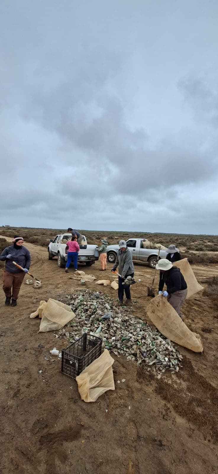 Recolectan dos toneladas de vidrio en limpieza de playa en el Parque Nacional San Quintín