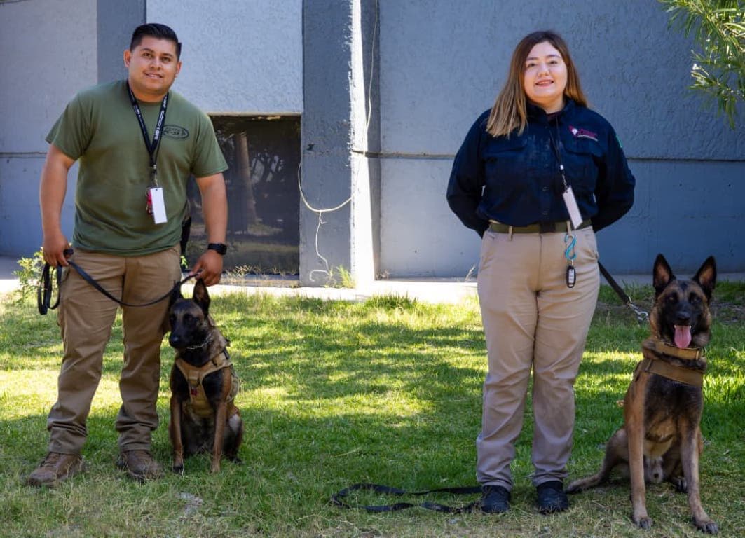 Refuerza Comisión Local de Búsqueda capacidades operativas del binomio K9 en copa internacional