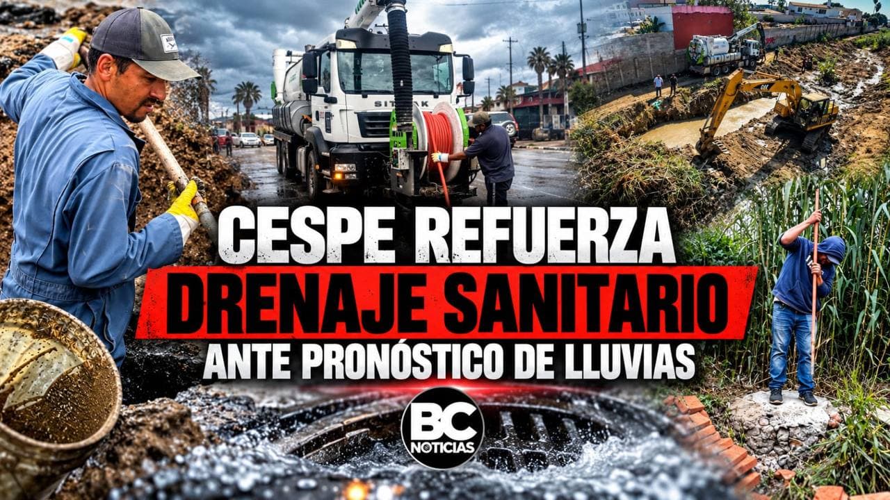 Texto de prueba en sistema editorial